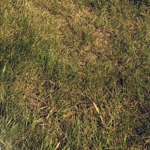 Meet your Posher, Madyson